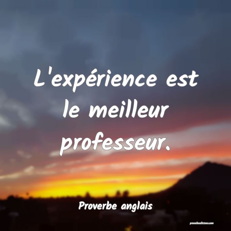 L'expérience est le meilleur professeur.