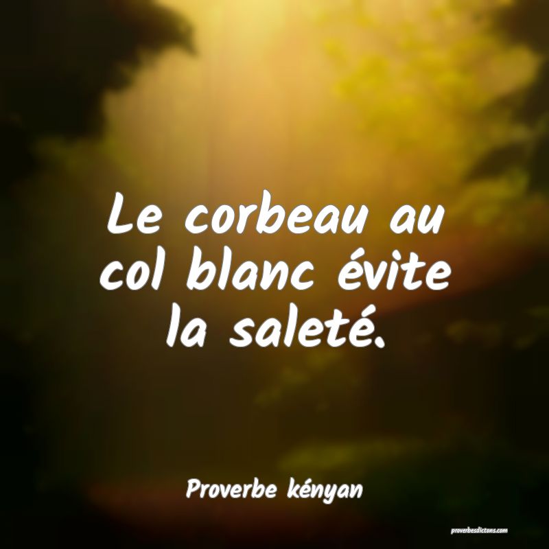 Le corbeau au col blanc évite la saleté.