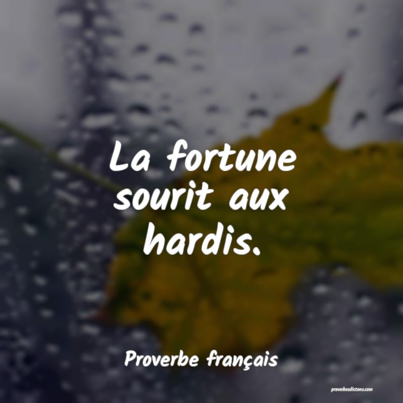 La fortune sourit aux hardis.