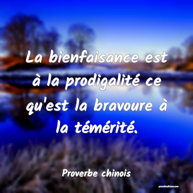 La bienfaisance est à la prodigalité ce qu'est la bravoure à la témérité.