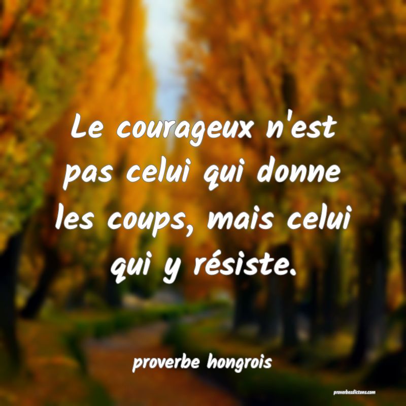  Le courageux n'est pas celui qui donne les coups, mais celui qui y résiste.