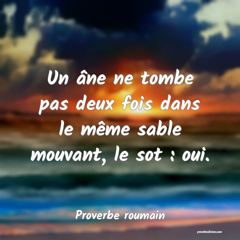 Un âne ne tombe pas deux fois dans le même sable mouvant, le sot : oui.