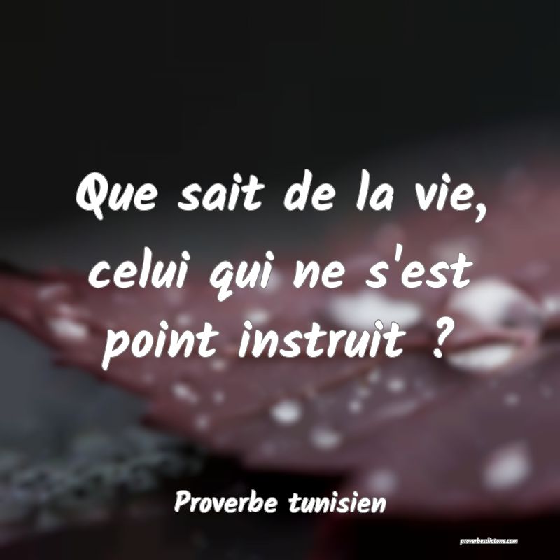 Que sait de la vie, celui qui ne s'est point instruit ?