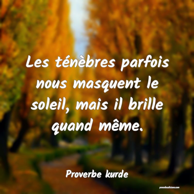 Les ténèbres parfois nous masquent le soleil, mais il brille quand même.