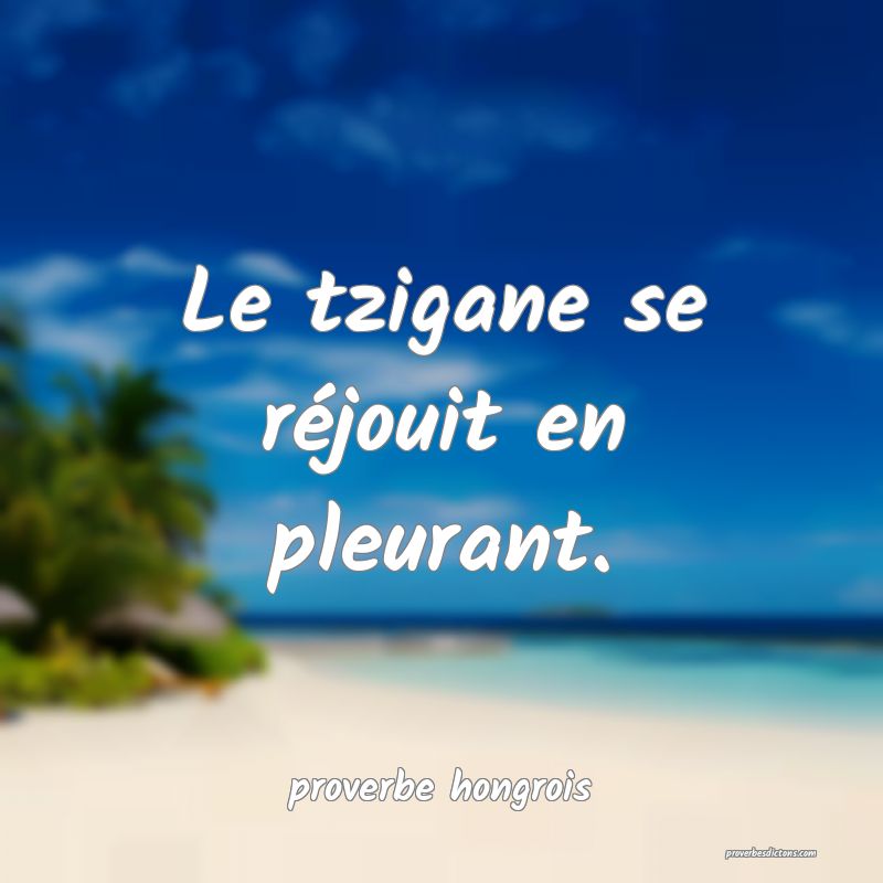  Le tzigane se réjouit en pleurant.