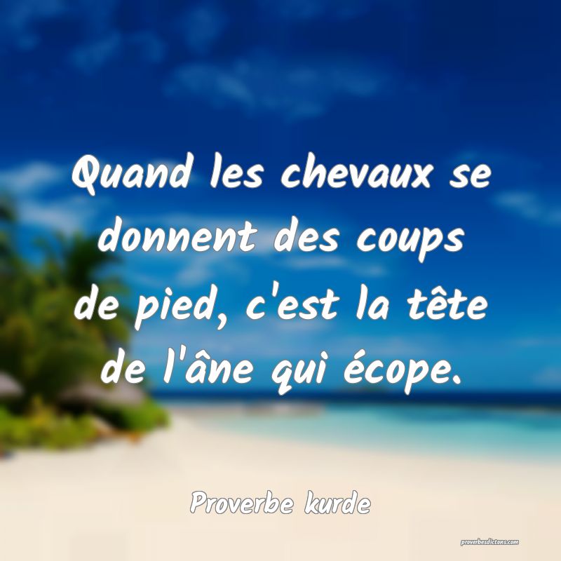 Quand les chevaux se donnent des coups de pied, c'est la tête de l'âne qui écope.