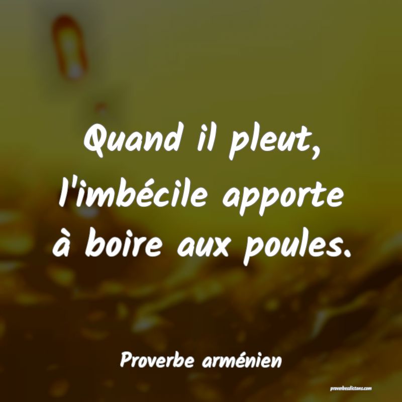Quand il pleut, l'imbécile apporte à boire aux poules.