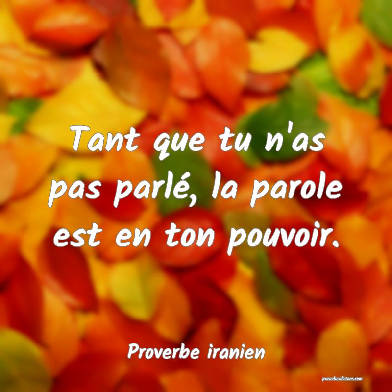 Tant que tu n'as pas parlé, la parole est en ton pouvoir.