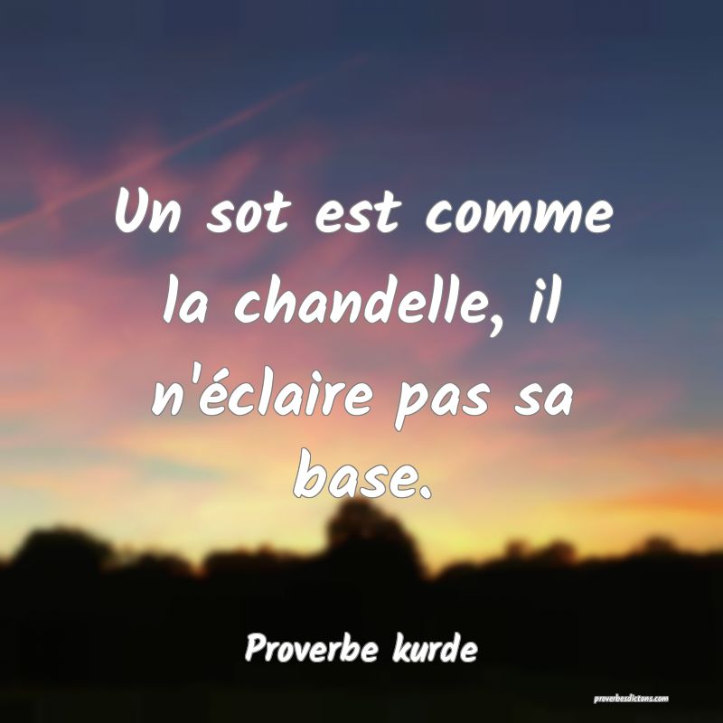 Un sot est comme la chandelle, il n'éclaire pas sa base.