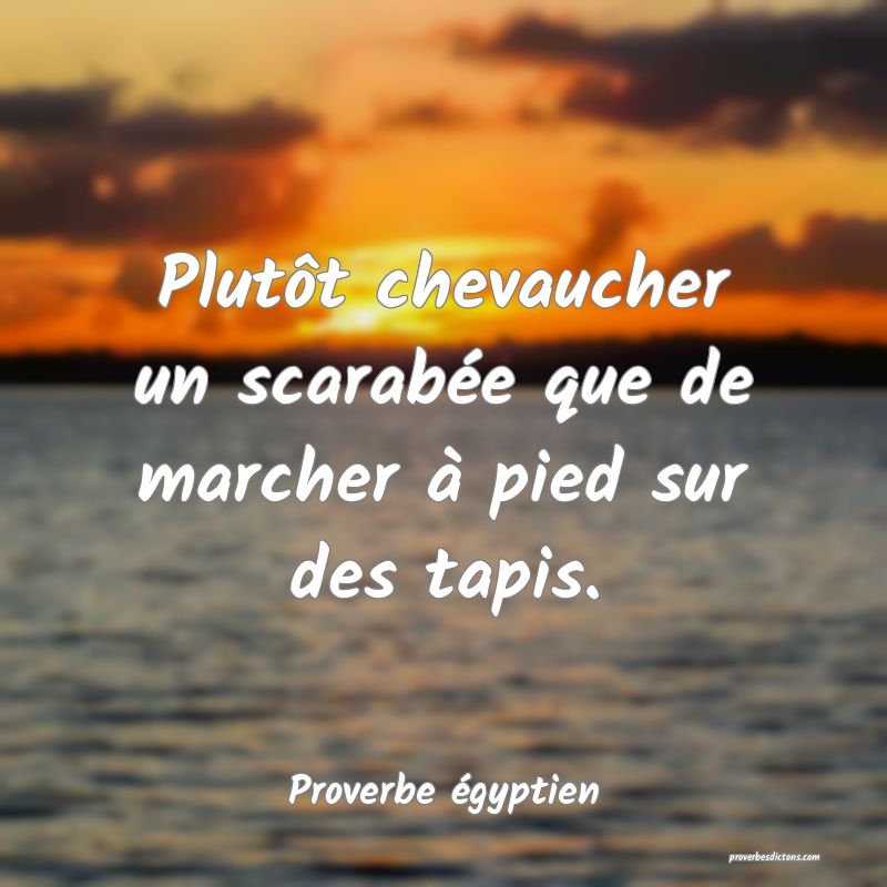 Plutôt chevaucher un scarabée que de marcher à pied sur des tapis.
