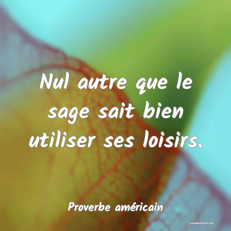 Nul autre que le sage sait bien utiliser ses loisirs.