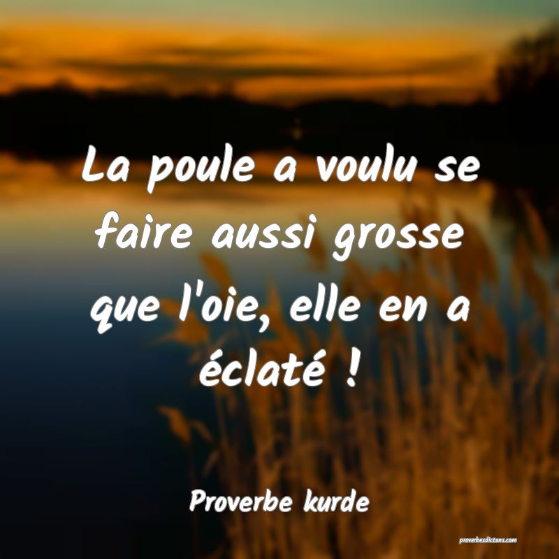 La poule a voulu se faire aussi grosse que l'oie, elle en a éclaté !