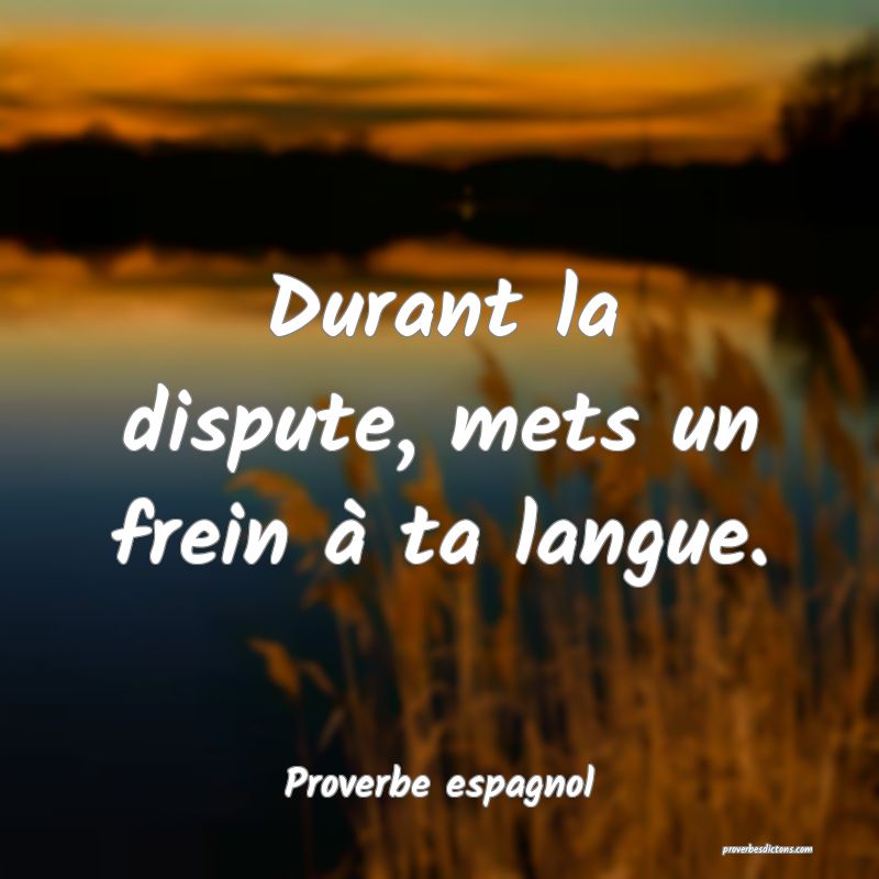 Durant la dispute, mets un frein à ta langue.