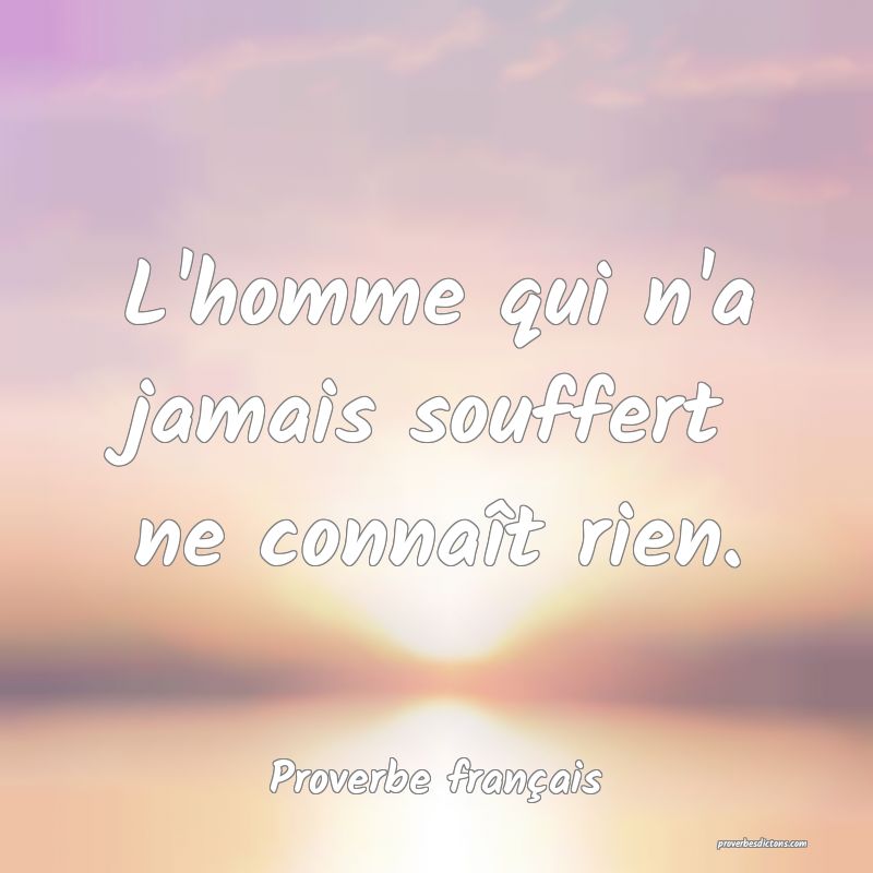 L'homme qui n'a jamais souffert ne connaît rien.