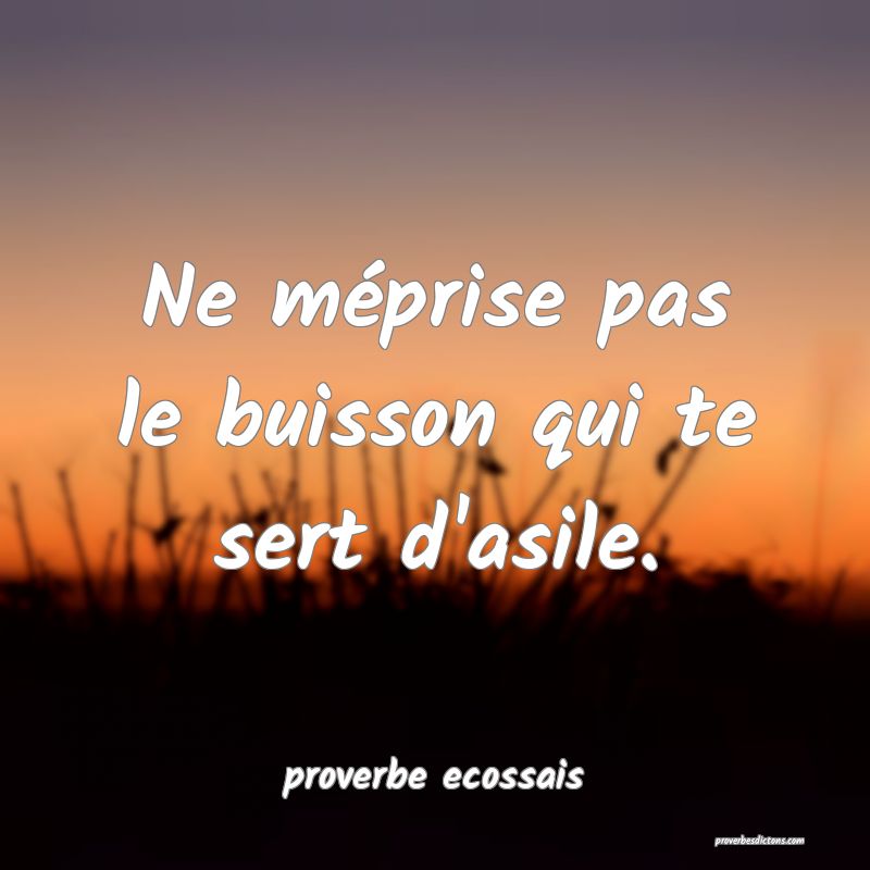 Ne méprise pas le buisson qui te sert d'asile.