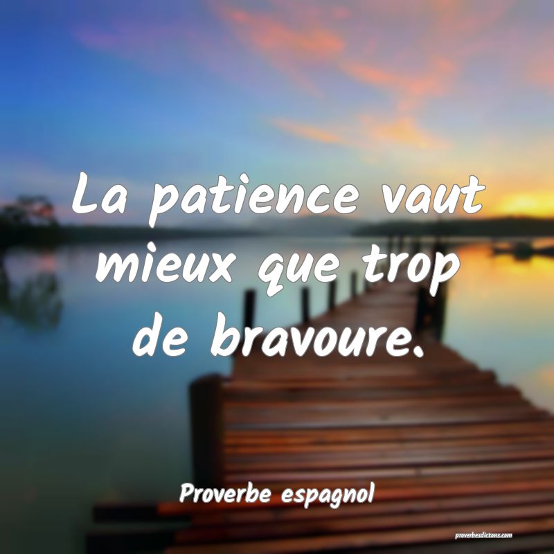La patience vaut mieux que trop de bravoure.