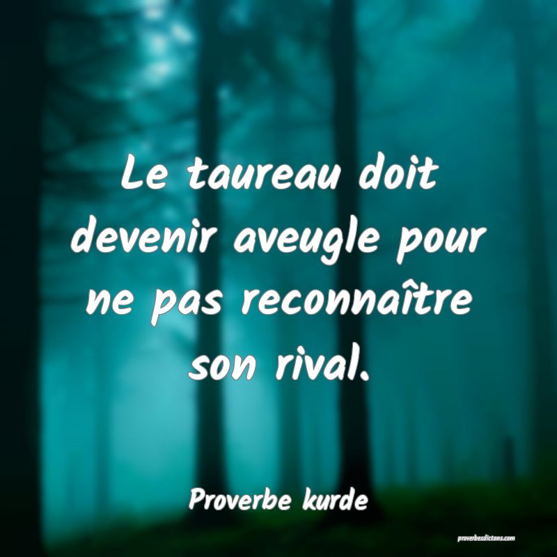 Le taureau doit devenir aveugle pour ne pas reconnaître son rival.