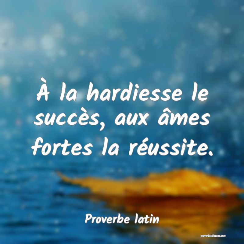 À la hardiesse le succès, aux âmes fortes la réussite.