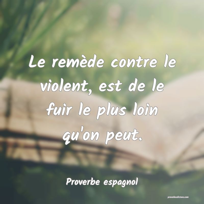 Le remède contre le violent, est de le fuir le plus loin qu'on peut.