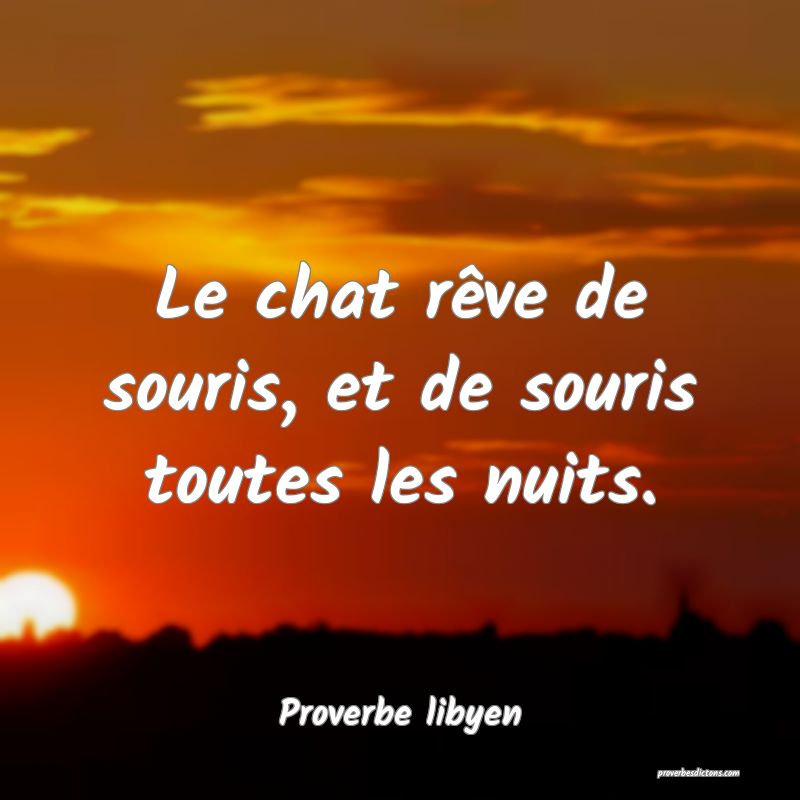 Le chat rêve de souris, et de souris toutes les nuits.
