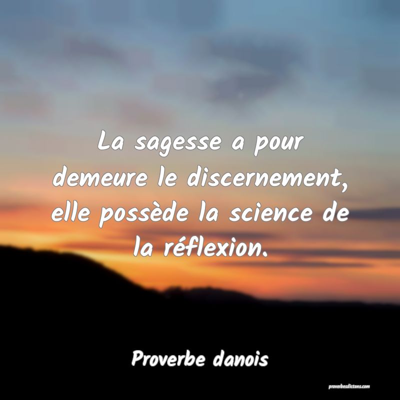 La sagesse a pour demeure le discernement, elle possède la science de la réflexion.