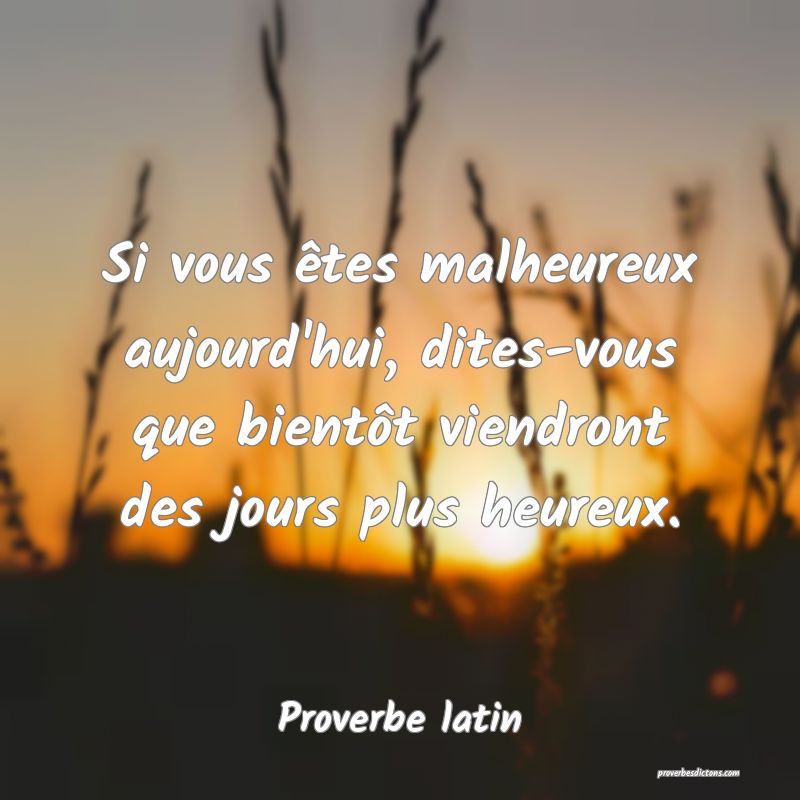 Si vous êtes malheureux aujourd'hui, dites-vous que bientôt viendront des jours plus heureux.