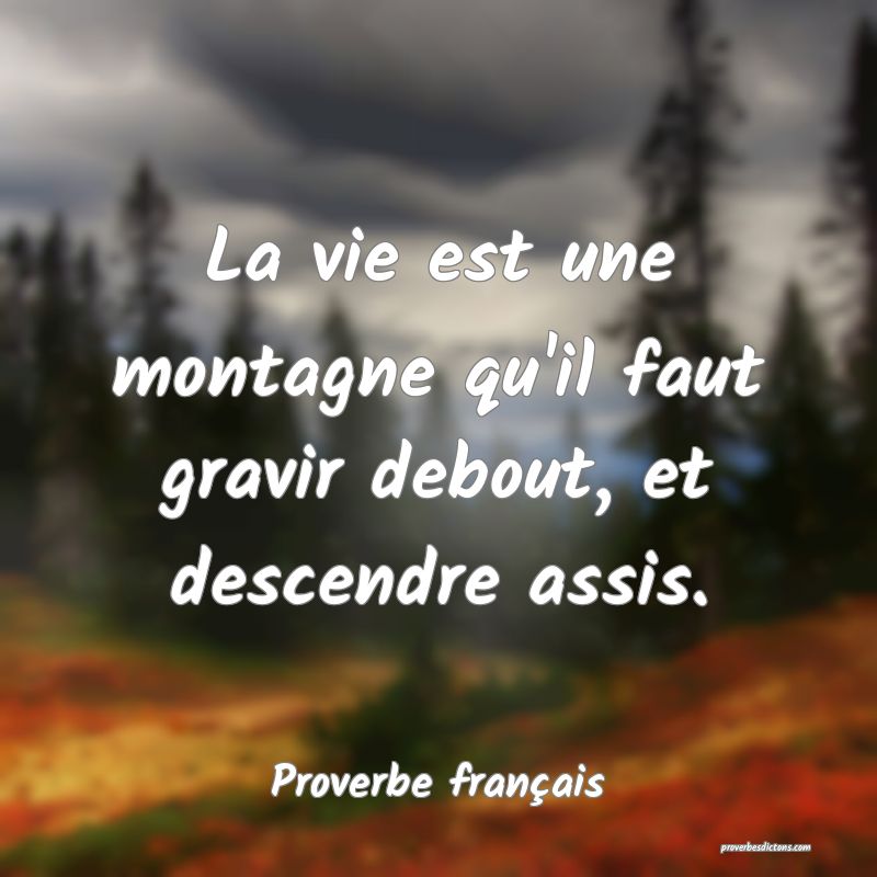 La vie est une montagne qu'il faut gravir debout, et descendre assis.