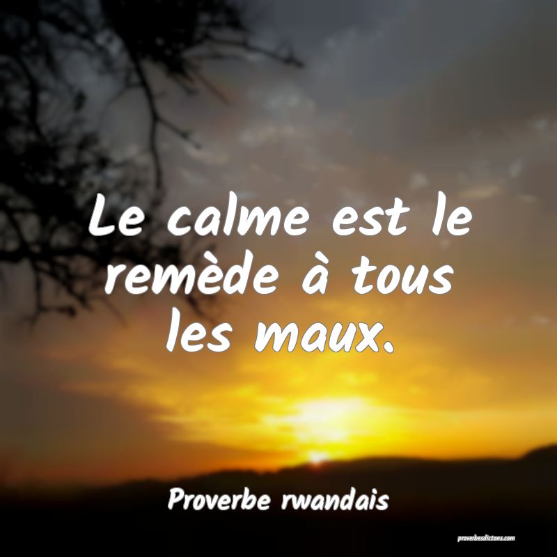 Le calme est le remède à tous les maux.