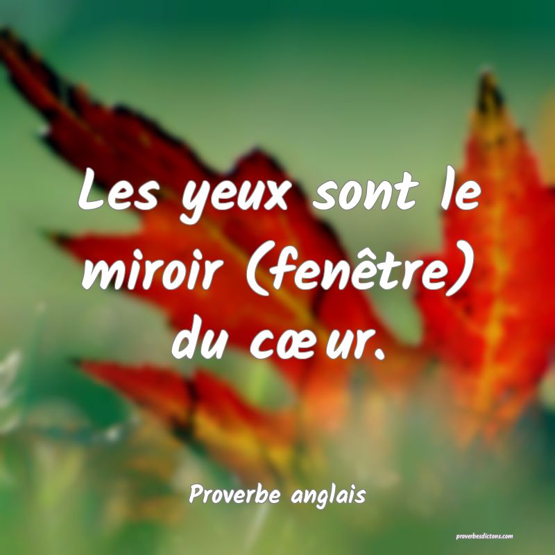 Les yeux sont le miroir (fenêtre) du cœur.