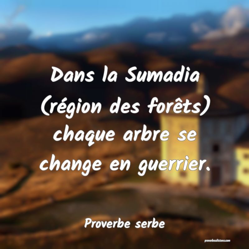 Dans la Sumadia (région des forêts) chaque arbre se change en guerrier.