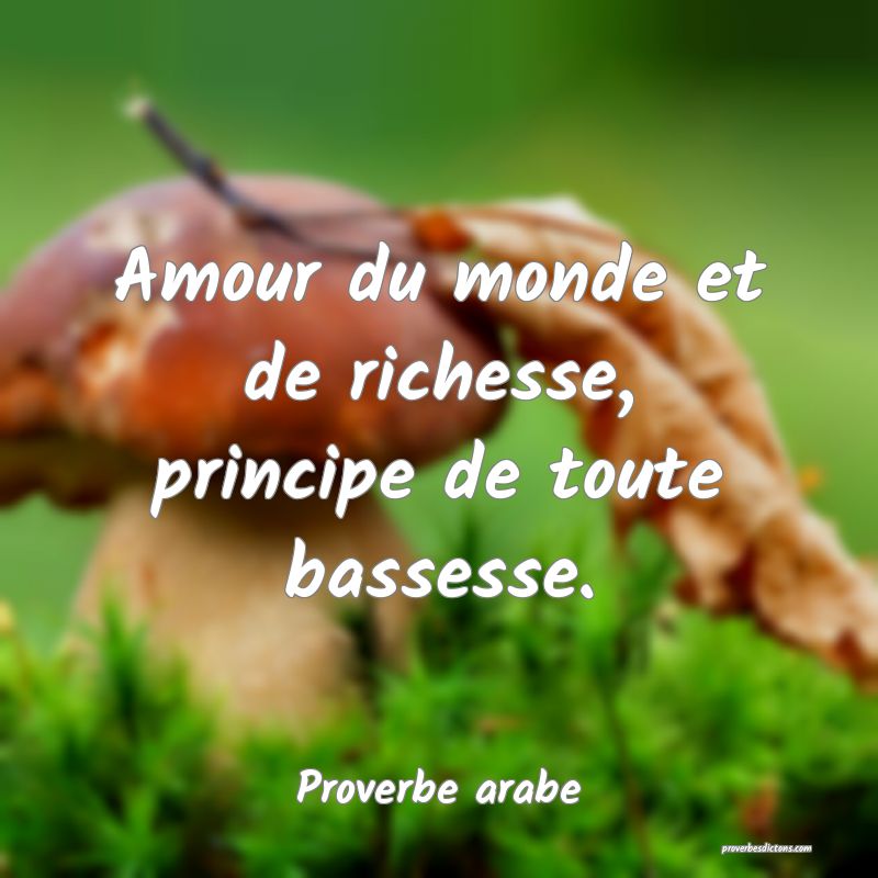 Amour du monde et de richesse, principe de toute bassesse.