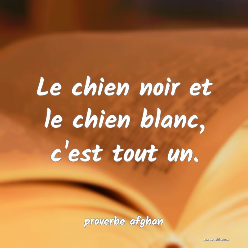 Le chien noir et le chien blanc, c'est tout un.