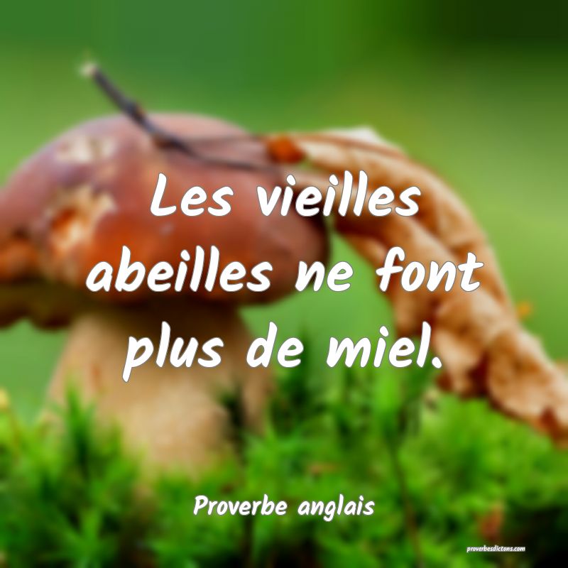 Les vieilles abeilles ne font plus de miel.
