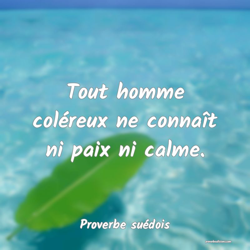 Tout homme coléreux ne connaît ni paix ni calme.
