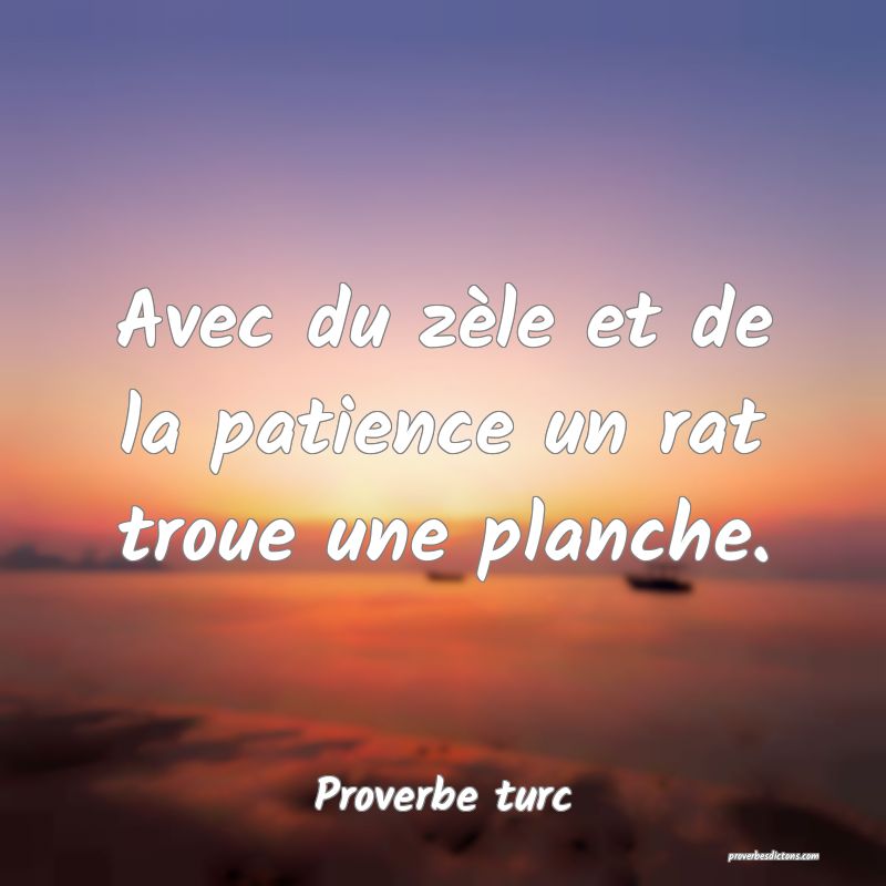 Avec du zèle et de la patience un rat troue une planche.
