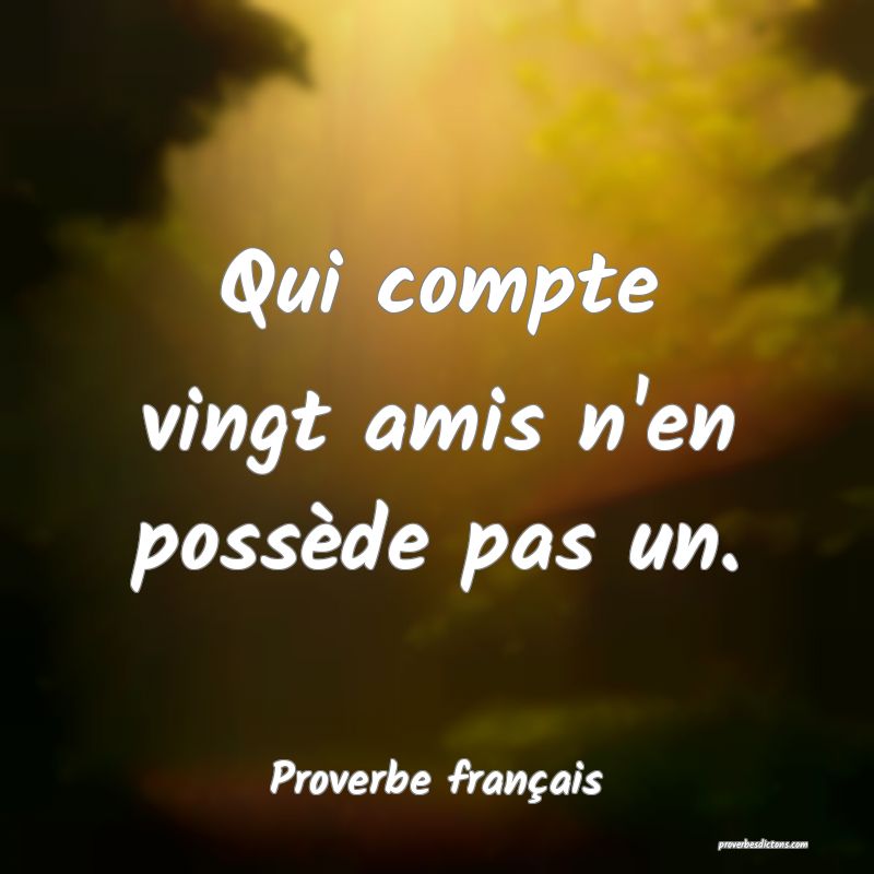 Qui compte vingt amis n'en possède pas un.