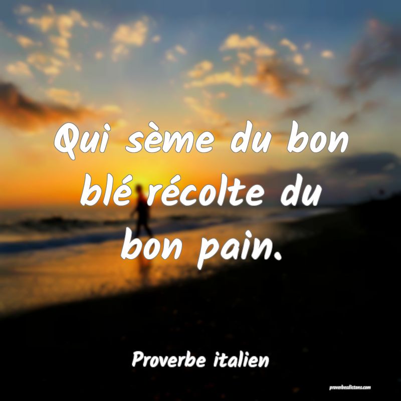 Qui sème du bon blé récolte du bon pain.