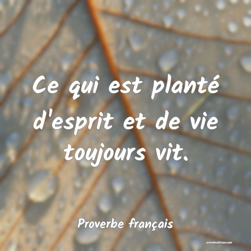 Ce qui est planté d'esprit et de vie toujours vit.