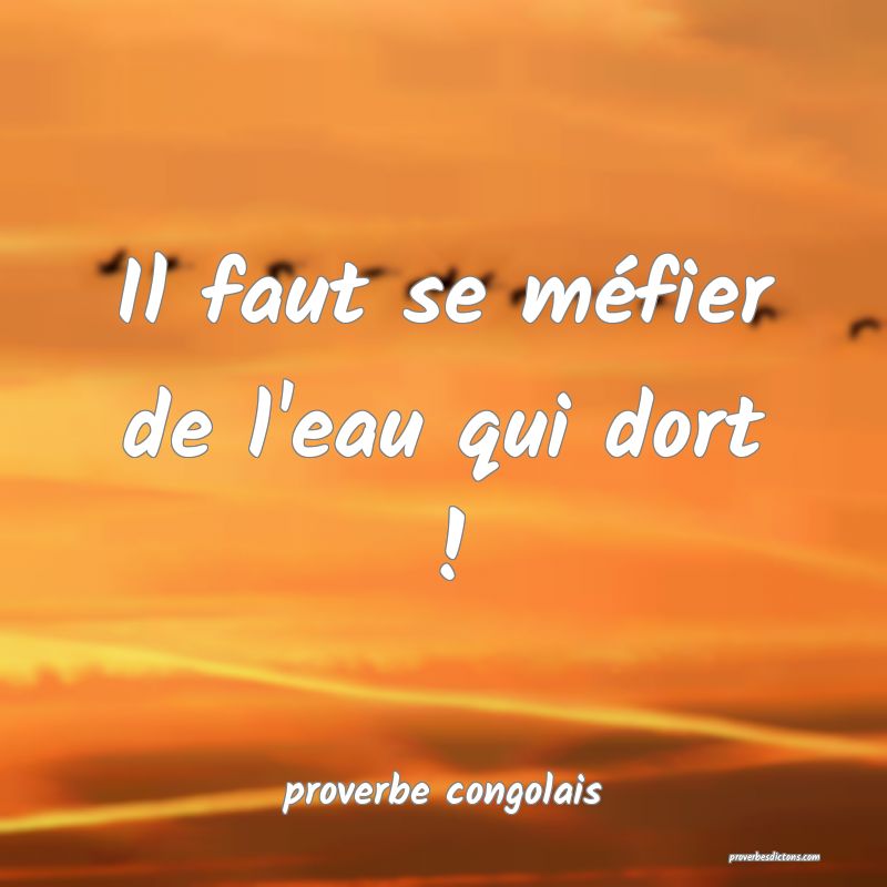  Il faut se méfier de l'eau qui dort !