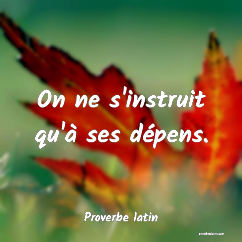 On ne s'instruit qu'à ses dépens.