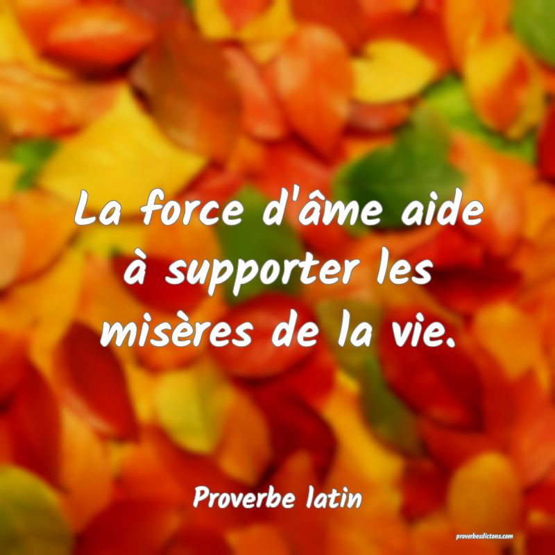 La force d'âme aide à supporter les misères de la vie.