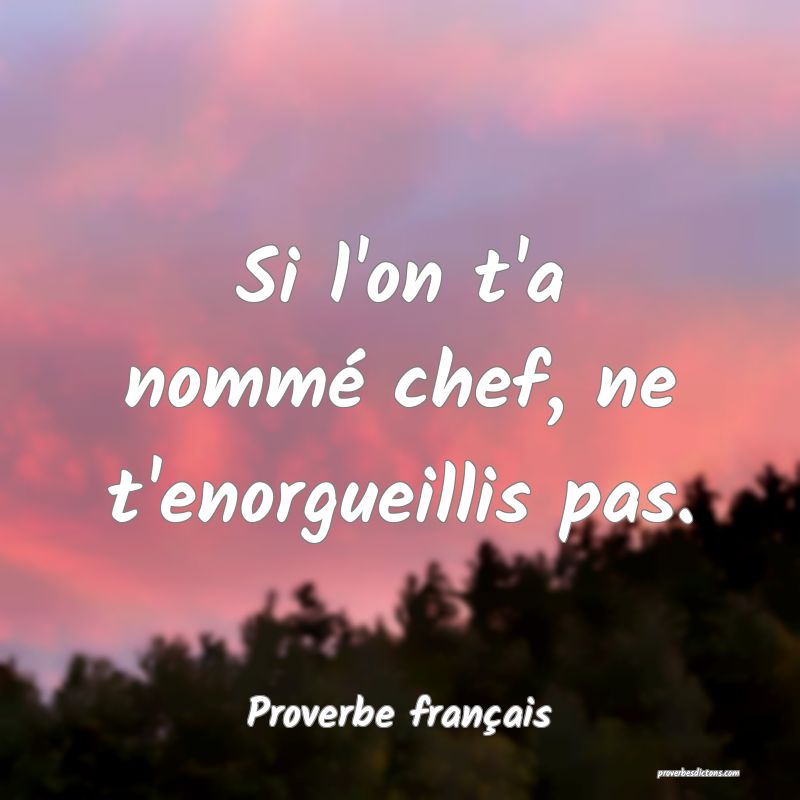 Si l'on t'a nommé chef, ne t'enorgueillis pas.