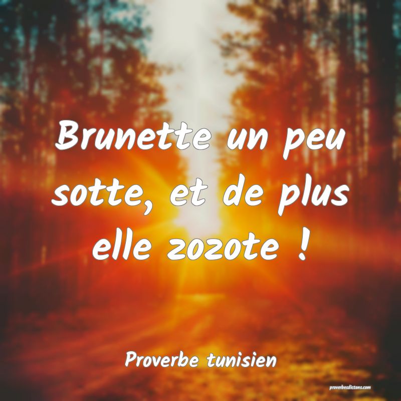 Brunette un peu sotte, et de plus elle zozote !