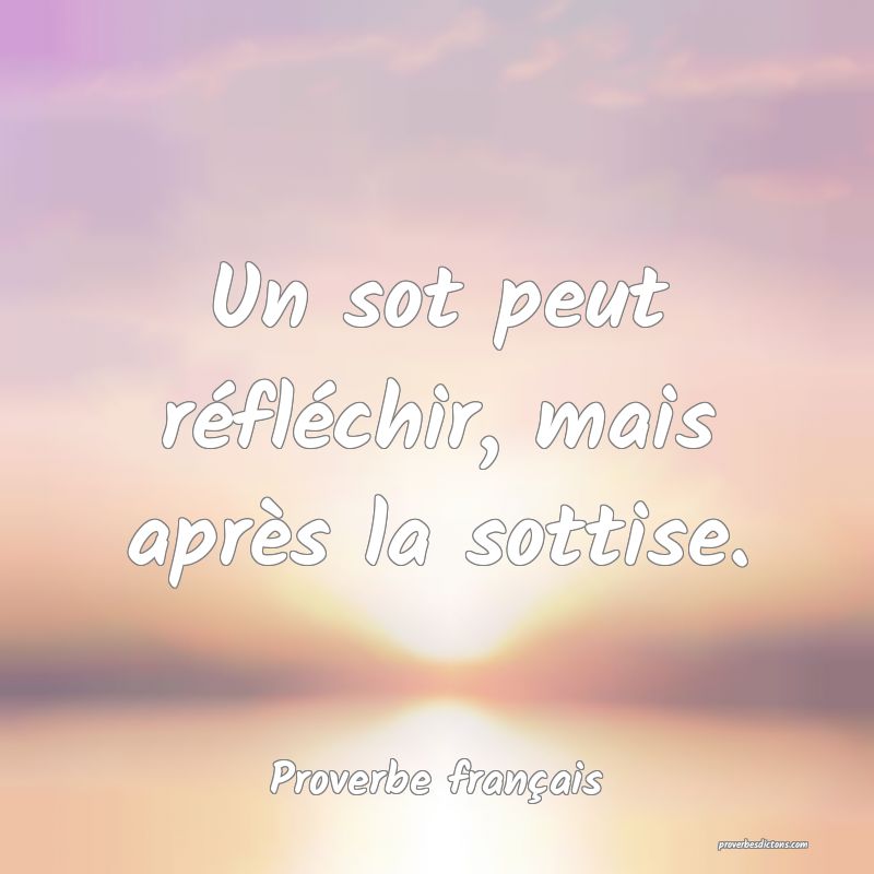 Un sot peut réfléchir, mais après la sottise.