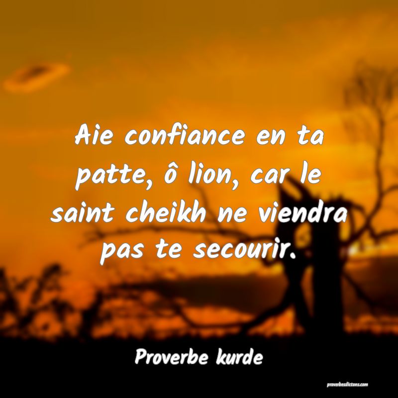 Aie confiance en ta patte, ô lion, car le saint cheikh ne viendra pas te secourir.