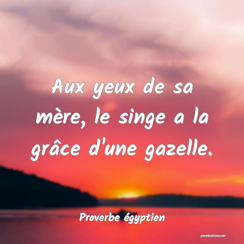 Aux yeux de sa mère, le singe a la grâce d'une gazelle.