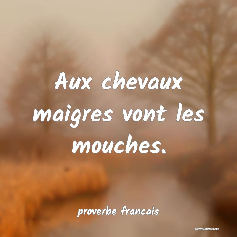  Aux chevaux maigres vont les mouches.