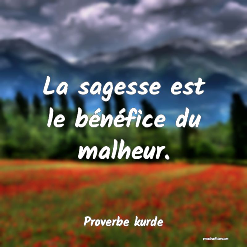 La sagesse est le bénéfice du malheur.