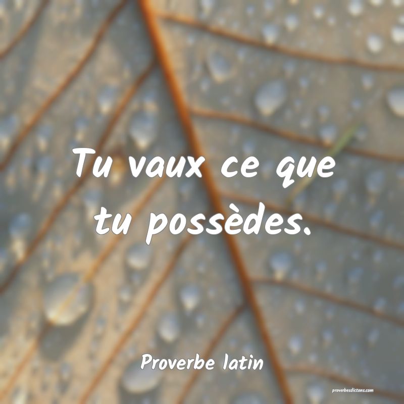 Tu vaux ce que tu possèdes.