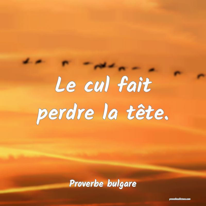 Le cul fait perdre la tête.